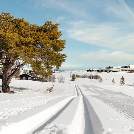 Rondane Haukliseter Fjellhotell 3*