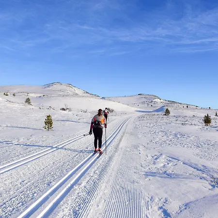 Rondane Haukliseter Fjellhotell 3*
