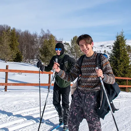 Rondane Haukliseter Fjellhotell Отель 3*