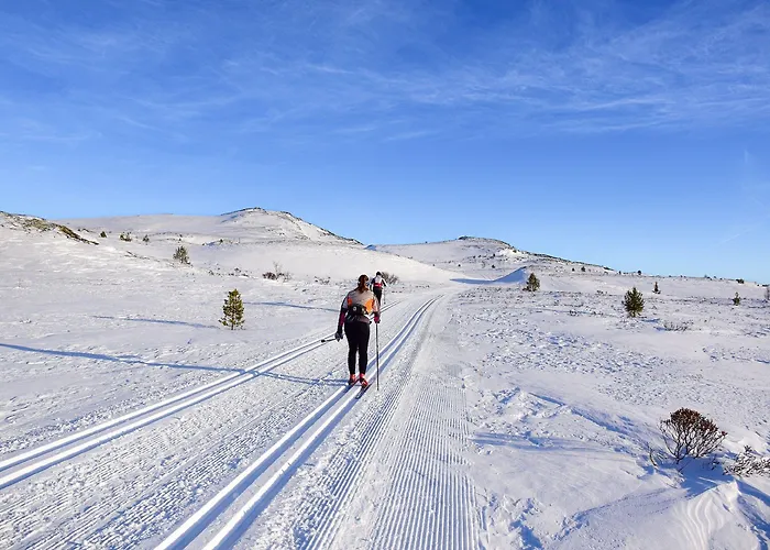 Rondane Haukliseter Fjellhotell 3*