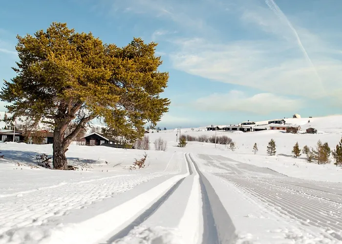 Rondane Haukliseter Fjellhotell